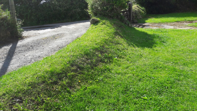 grassy bank
